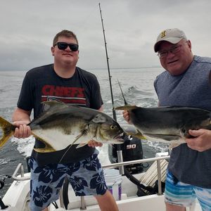 Meet your Posher, Kyle